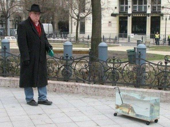 复仇者联盟最大秘密曝光|到动物园点份老龟汤