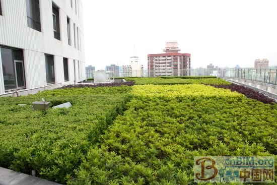 USGBC为LEED在中国的发展供全方位支持和资源