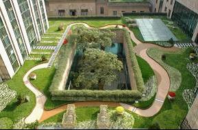 我国立体绿化驶入快车道 全国立体绿化组织在京成立