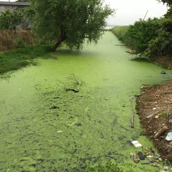 中国缺少，请珍惜水资源！鄱阳湖还要防火
