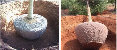 迪士尼施工用的这50种工具，想超越还得多“修炼”N年