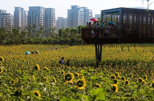 2016年世界建筑节奖项提名公布,22个大类含中国建筑提名,土人景观、张迪、李道德等在列 2016年世界建筑节奖项提名公布,22个大类含中国建筑提名,土人景观、张迪、李道德等在列