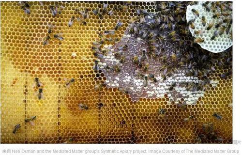 每个建筑师都需要知道的16种材料(以及在哪里了解它们) BIM视界 第17张-BIM建筑网 每个建筑师都需要知道的16种材料(以及在哪里了解它们) BIM视界 第17张