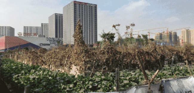 BIM案例 | BIM技术西南游记——中铁八局成都轨道交通9号线一期工程土建7标项目BIM技术 ... BIM案例 | BIM技术西南游记——中铁八局成都轨道交通9号线一期工程土建7标项目BIM技术 ...