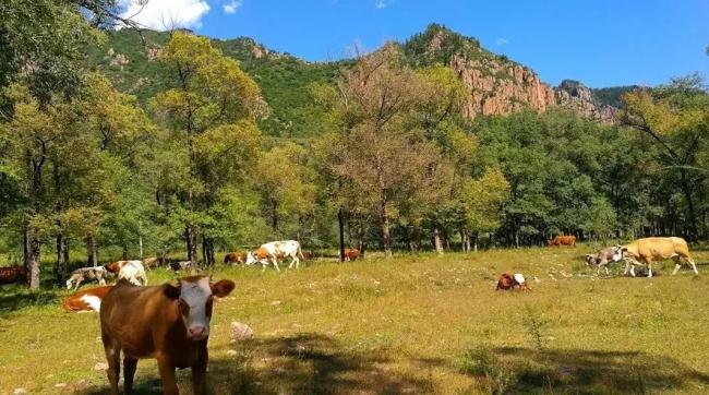 装配式|改变中的住房发展模式对建筑业的影响 装配式资讯 第1张-BIM建筑网 装配式|改变中的住房发展模式对建筑业的影响 装配式资讯 第1张