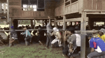 装配式|可折叠的房子,六小时就盖好,还能打包带走 装配式资讯 第16张-BIM建筑网 装配式|可折叠的房子,六小时就盖好,还能打包带走 装配式资讯 第16张