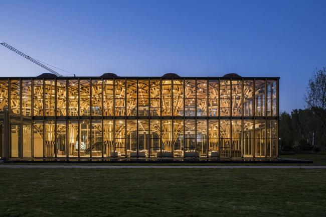 BIM建筑|枝桠交织有序的'树'状空间:河南珑府生涯体验中间 / 罗宇杰工作室 BIM建筑|枝桠交织有序的'树'状空间:河南珑府生涯体验中间 / 罗宇杰工作室