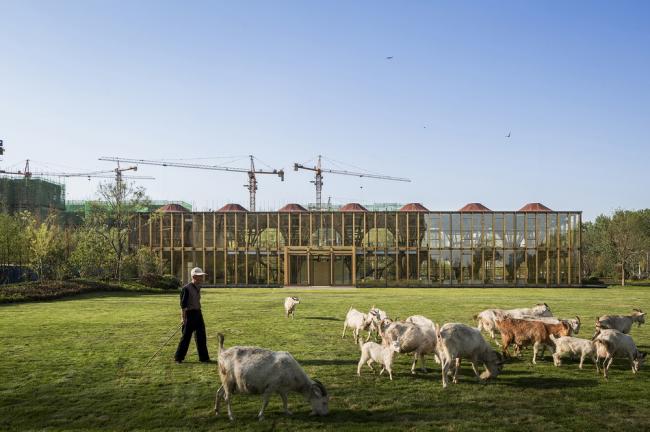 BIM建筑|枝桠交织有序的'树'状空间:河南珑府生涯体验中间 / 罗宇杰工作室 BIM建筑|枝桠交织有序的'树'状空间:河南珑府生涯体验中间 / 罗宇杰工作室