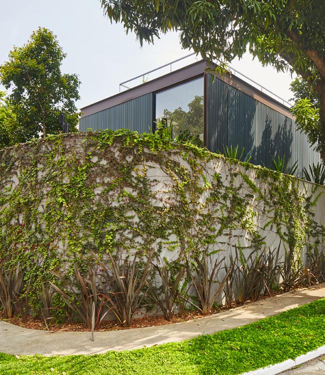 BIM建筑|清透现代的玻璃盒子/巴西盒子室第 BIM建筑|清透现代的玻璃盒子/巴西盒子室第