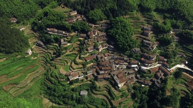 BIM建筑|飞蔦集 • 松阳陈家展,浙江 / gad · line+ studio BIM建筑|飞蔦集 • 松阳陈家展,浙江 / gad · line+ studio