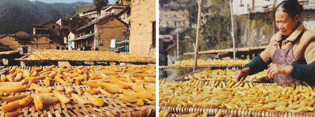 BIM建筑|飞蔦集 • 松阳陈家展,浙江 / gad · line+ studio BIM建筑|飞蔦集 • 松阳陈家展,浙江 / gad · line+ studio