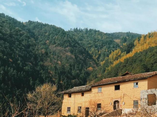 BIM建筑|飞蔦集 • 松阳陈家展,浙江 / gad · line+ studio BIM建筑|飞蔦集 • 松阳陈家展,浙江 / gad · line+ studio