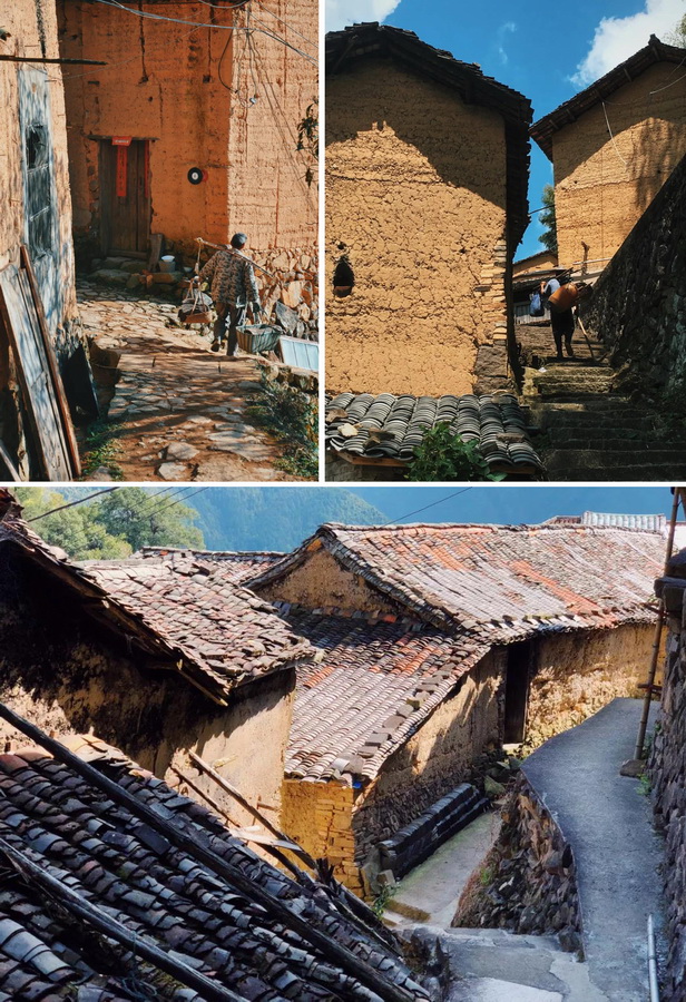 BIM建筑|飞蔦集 • 松阳陈家展,浙江 / gad · line+ studio BIM建筑|飞蔦集 • 松阳陈家展,浙江 / gad · line+ studio