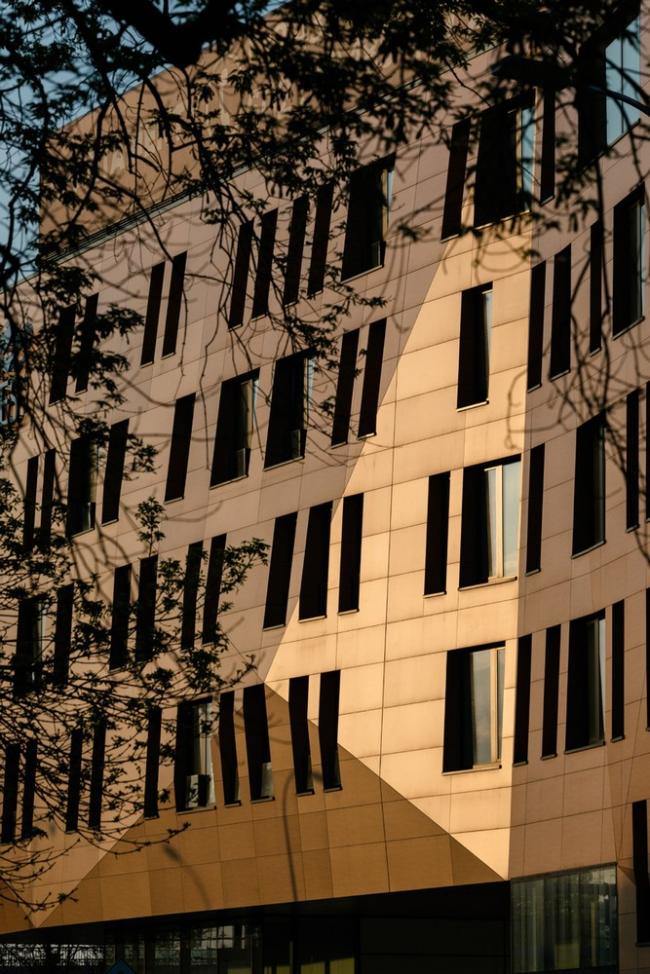 BIM建筑|如潮汐般曲意活动:潮汐和华沙荡舟协会年夜楼 BIM建筑|如潮汐般曲意活动:潮汐和华沙荡舟协会年夜楼