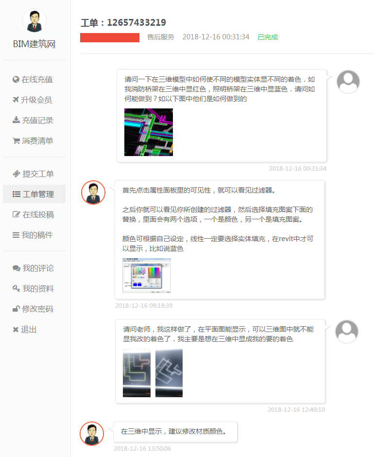 VIP会员专享服务-BIM技术疑难问题解答，BIM软件操作问题解答，BIM项目相关问题解答 BIM视界 第2张