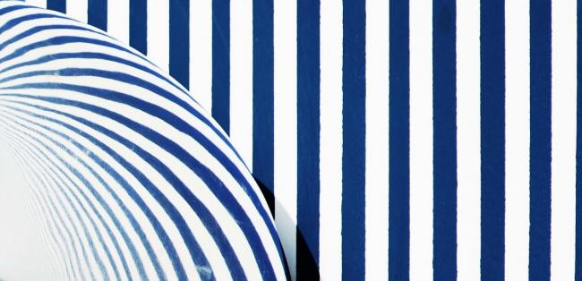 BIM建筑|眩晕的屋子指明年夜海的标的目的:秦皇岛海魂屋 / Wutopia Lab BIM建筑|眩晕的屋子指明年夜海的标的目的:秦皇岛海魂屋 / Wutopia Lab