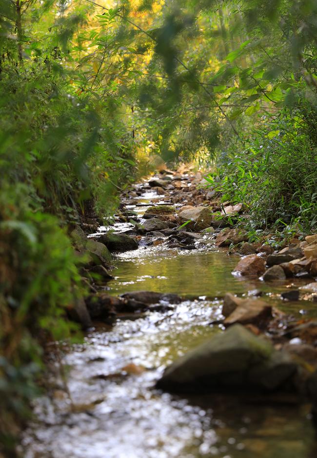 BIM建筑|慧心谷度假村 / 墨璞建筑设计 BIM建筑|慧心谷度假村 / 墨璞建筑设计