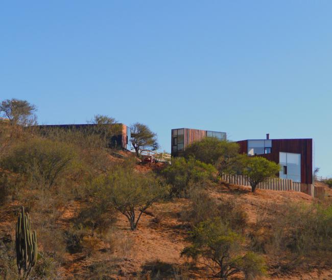 BIM建筑|染上了时光的印记——“老化”的美感:智利橡树室第 BIM建筑|染上了时光的印记——“老化”的美感:智利橡树室第