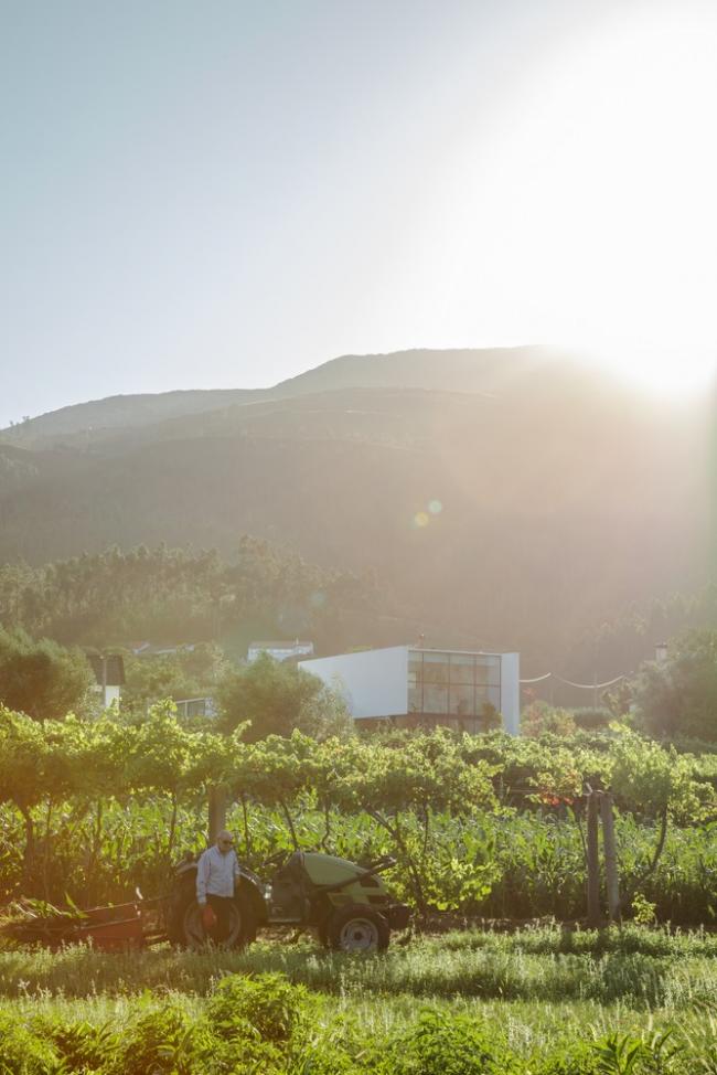 BIM建筑|葡萄牙村落与后现代主义下谱奏的现代村歌:Gafarim之家 BIM建筑|葡萄牙村落与后现代主义下谱奏的现代村歌:Gafarim之家