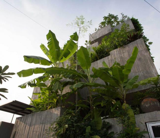 BIM建筑|马来西亚植物盒室第 / Formzero BIM建筑|马来西亚植物盒室第 / Formzero