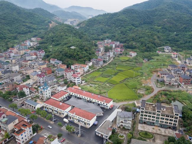 BIM建筑|侠父村农贸市场 / 本构建筑事务所 BIM建筑|侠父村农贸市场 / 本构建筑事务所