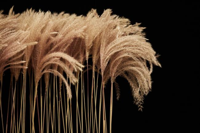 BIM建筑|玑遇SPA / 上海黑泡泡设计团队 BIM建筑|玑遇SPA / 上海黑泡泡设计团队