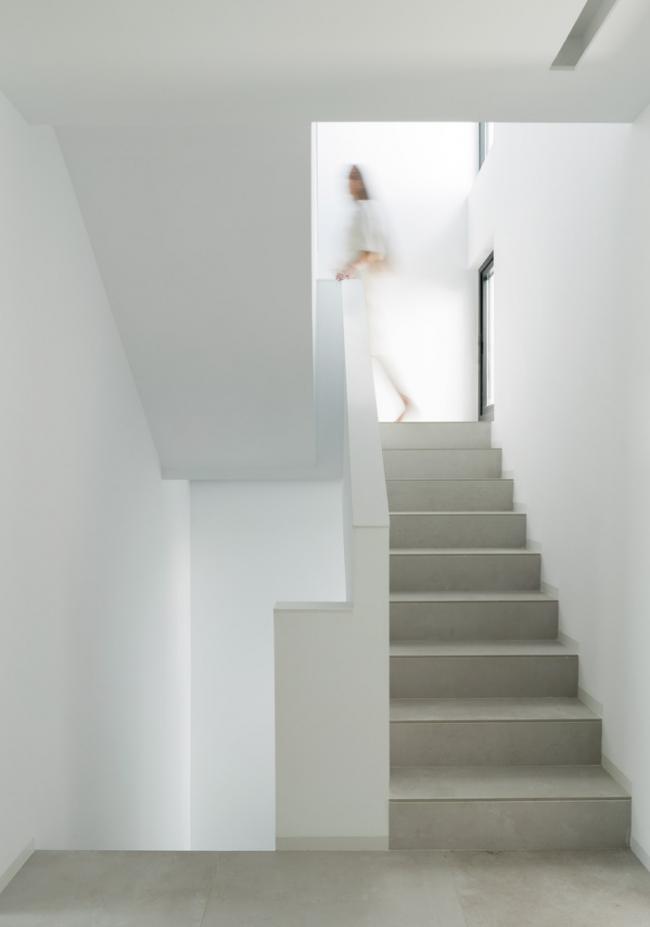 BIM建筑|年夜简至繁,横条纹也能小清爽的西班牙水族馆室第 BIM建筑|年夜简至繁,横条纹也能小清爽的西班牙水族馆室第