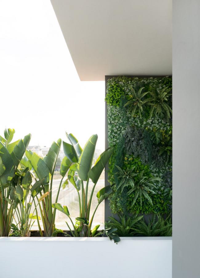 BIM建筑|年夜简至繁,横条纹也能小清爽的西班牙水族馆室第 BIM建筑|年夜简至繁,横条纹也能小清爽的西班牙水族馆室第