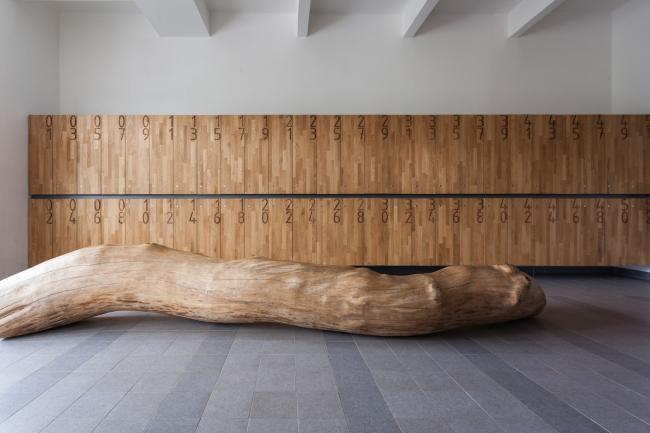 BIM建筑|奶油袍与小红帽:贾拉·西曼小学 BIM建筑|奶油袍与小红帽:贾拉·西曼小学