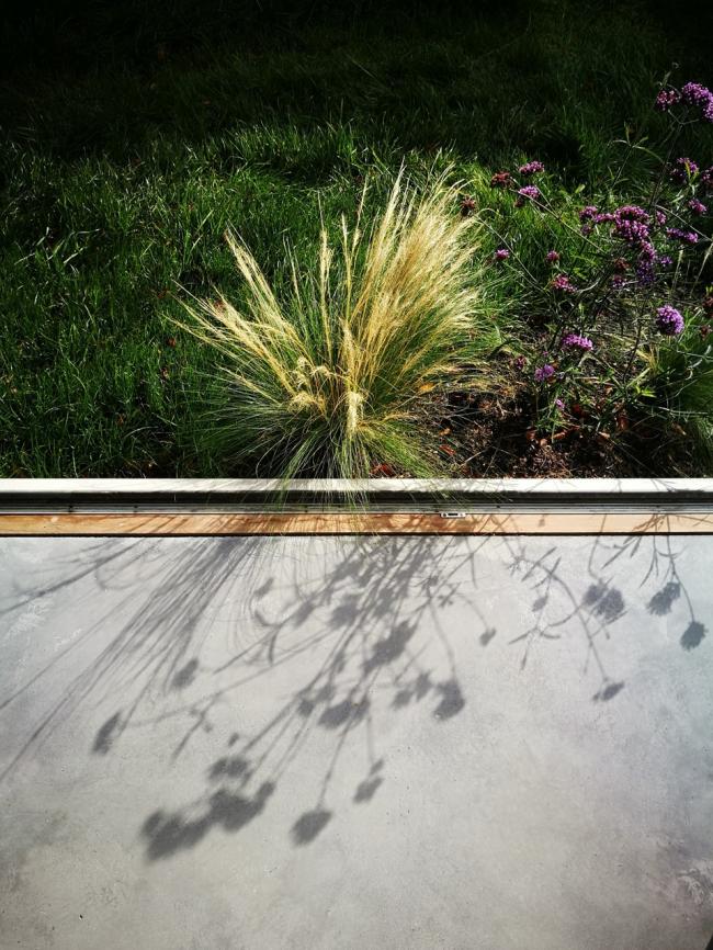 BIM建筑|花圃室第 BIM建筑|花圃室第