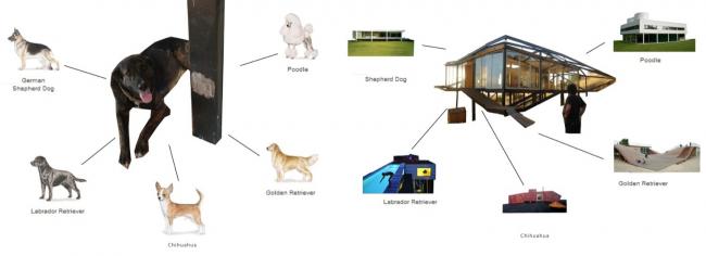 BIM建筑|如布谷鸟守看谷地——Kiltro山坡室第 BIM建筑|如布谷鸟守看谷地——Kiltro山坡室第