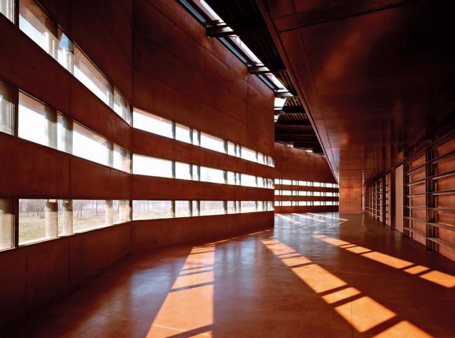 BIM建筑|一本散落墙角,页面泛黄的书:科尔诺公共藏书楼和会堂 BIM建筑|一本散落墙角,页面泛黄的书:科尔诺公共藏书楼和会堂