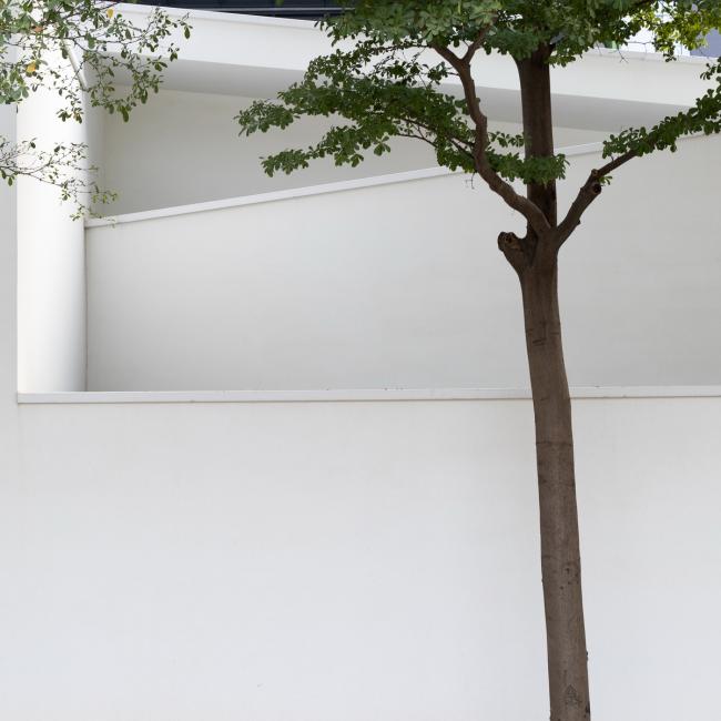 BIM建筑|简约而有格调的生涯美学馆 / 墨照建筑设计事务所 BIM建筑|简约而有格调的生涯美学馆 / 墨照建筑设计事务所