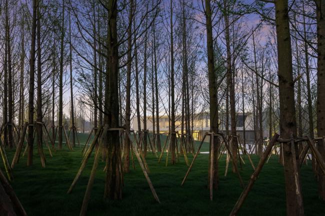 BIM建筑|濑溪河生态体育公园 / 上海天华园林景不雅有限公司 BIM建筑|濑溪河生态体育公园 / 上海天华园林景不雅有限公司