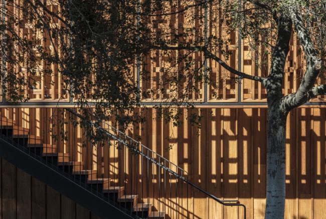 BIM建筑|光影斑驳,坐落湖畔的学术交换中间 BIM建筑|光影斑驳,坐落湖畔的学术交换中间