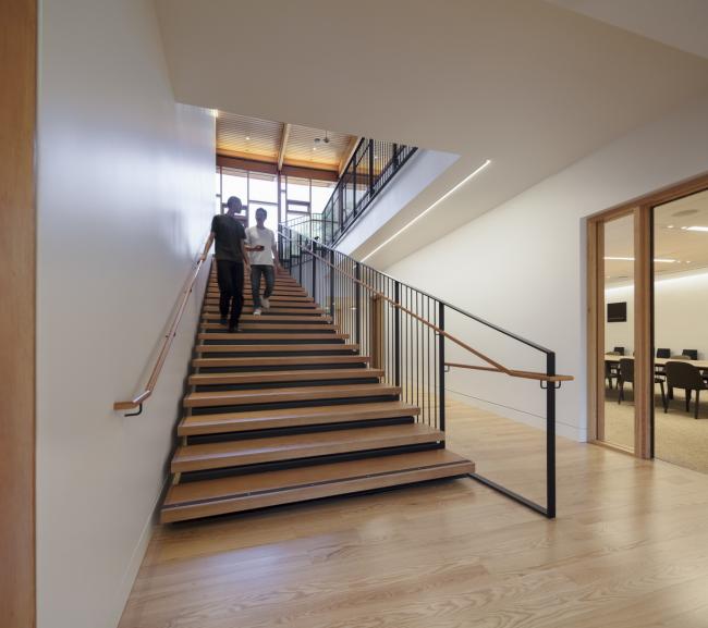 BIM建筑|光影斑驳,坐落湖畔的学术交换中间 BIM建筑|光影斑驳,坐落湖畔的学术交换中间