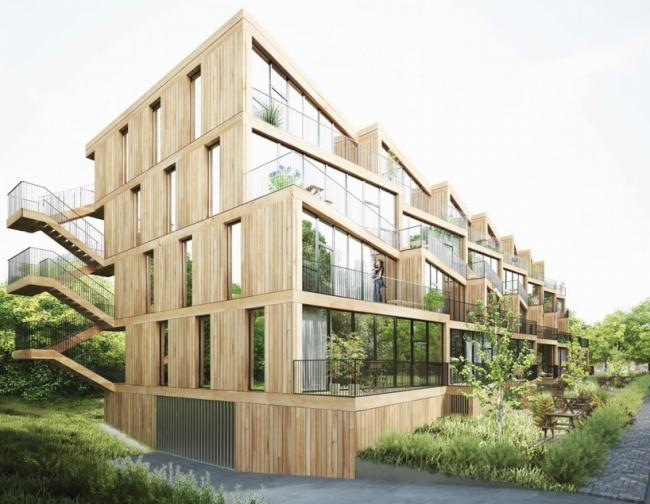 BIM建筑|NL Architects + STUDYO 为法兰克福设计梯田式经济实用房 BIM建筑|NL Architects + STUDYO 为法兰克福设计梯田式经济实用房