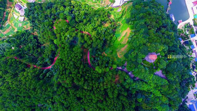 BIM建筑|陌上花开的乡土景不雅——福建年夜田绿道计划设计 / 上海选泉设计 BIM建筑|陌上花开的乡土景不雅——福建年夜田绿道计划设计 / 上海选泉设计