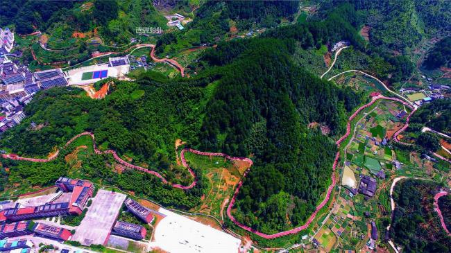 BIM建筑|陌上花开的乡土景不雅——福建年夜田绿道计划设计 / 上海选泉设计 BIM建筑|陌上花开的乡土景不雅——福建年夜田绿道计划设计 / 上海选泉设计