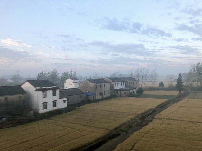 BIM建筑|水乡韵味,一看无际的平原上蜂拥闪烁的“星星”:江苏省北沙幼儿园 / Crossboundaries BIM建筑|水乡韵味,一看无际的平原上蜂拥闪烁的“星星”:江苏省北沙幼儿园 / Crossboundaries