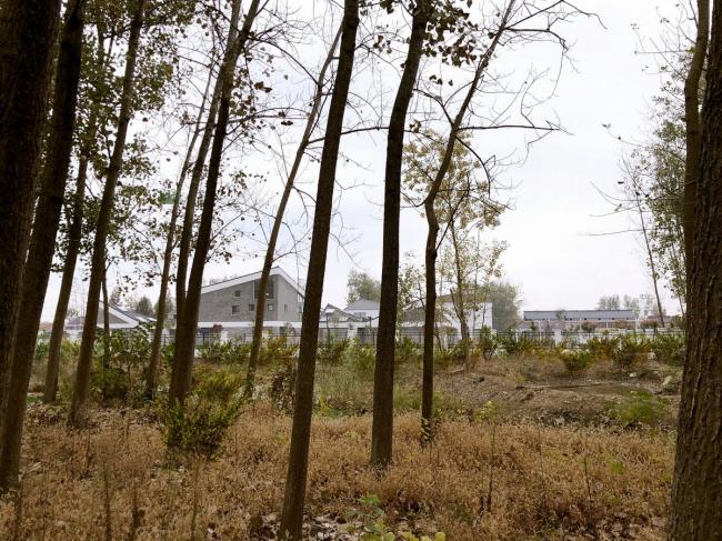 BIM建筑|水乡韵味,一看无际的平原上蜂拥闪烁的“星星”:江苏省北沙幼儿园 / Crossboundaries BIM建筑|水乡韵味,一看无际的平原上蜂拥闪烁的“星星”:江苏省北沙幼儿园 / Crossboundaries