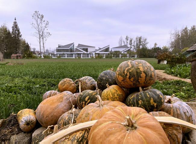 BIM建筑|水乡韵味,一看无际的平原上蜂拥闪烁的“星星”:江苏省北沙幼儿园 / Crossboundaries BIM建筑|水乡韵味,一看无际的平原上蜂拥闪烁的“星星”:江苏省北沙幼儿园 / Crossboundaries