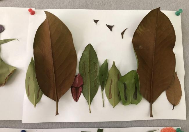 BIM建筑|水乡韵味,一看无际的平原上蜂拥闪烁的“星星”:江苏省北沙幼儿园 / Crossboundaries BIM建筑|水乡韵味,一看无际的平原上蜂拥闪烁的“星星”:江苏省北沙幼儿园 / Crossboundaries