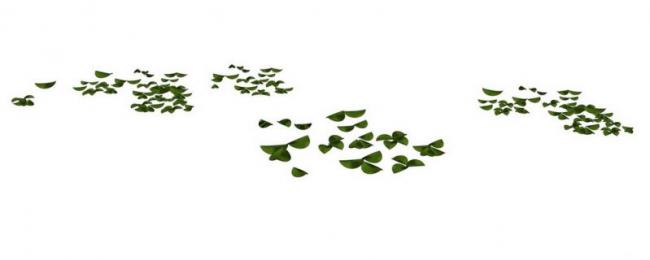 Sketchup素材模型|小片落叶景观素材组件 Sketchup素材模型|小片落叶景观素材组件