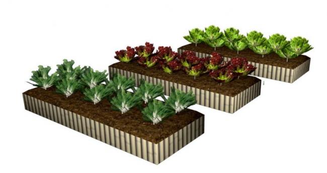 Sketchup素材模型|菜池花池景观素材组件 Sketchup素材模型|菜池花池景观素材组件