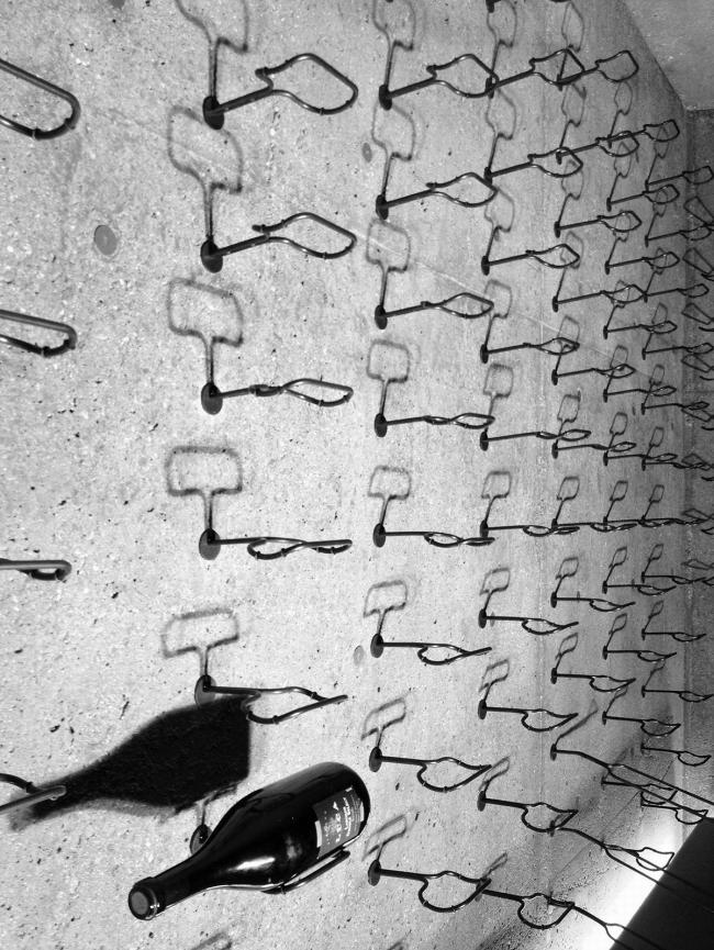 BIM建筑|粗野主义,禅宗花圃——戈壁中的精巧室第 BIM建筑|粗野主义,禅宗花圃——戈壁中的精巧室第