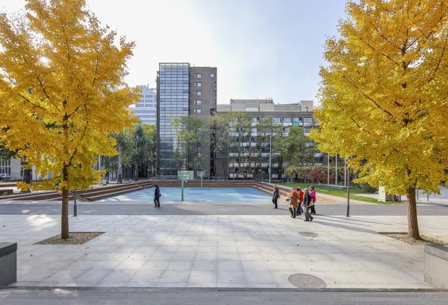 BIM建筑|重讲校园故事——北年夜附中本校及向阳将来黉舍两校园景不雅改革 / Crossboundaries BIM建筑|重讲校园故事——北年夜附中本校及向阳将来黉舍两校园景不雅改革 / Crossboundaries