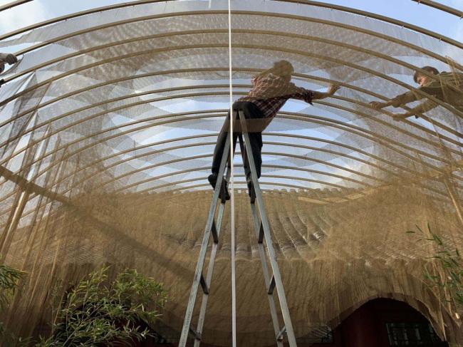 BIM建筑|传统中国元素的现代碰撞与感知:北京雀巢感 CAFÉ / RSAA/庄子玉工作室 BIM建筑|传统中国元素的现代碰撞与感知:北京雀巢感 CAFÉ / RSAA/庄子玉工作室