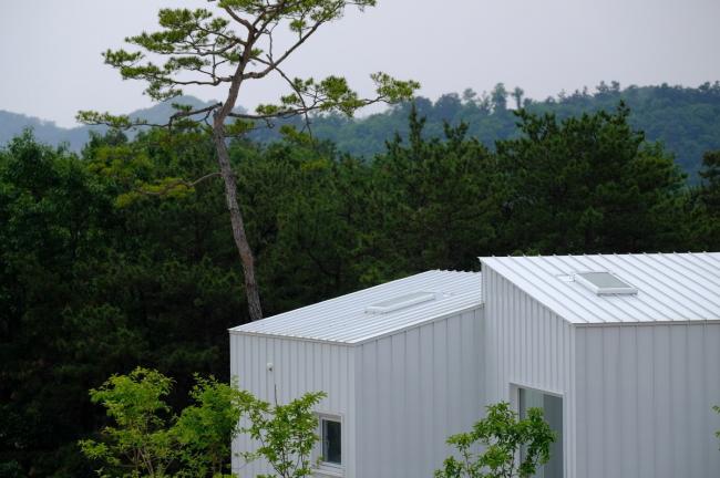 BIM建筑|碧湖之畔,丛林之间:飘浮立方体室第 / Younghan Chung Architects BIM建筑|碧湖之畔,丛林之间:飘浮立方体室第 / Younghan Chung Architects