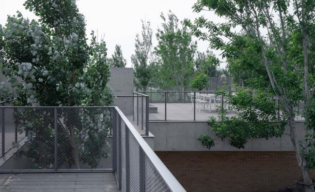 BIM建筑|海边 y 餐厅 / 直向建筑 BIM建筑|海边 y 餐厅 / 直向建筑